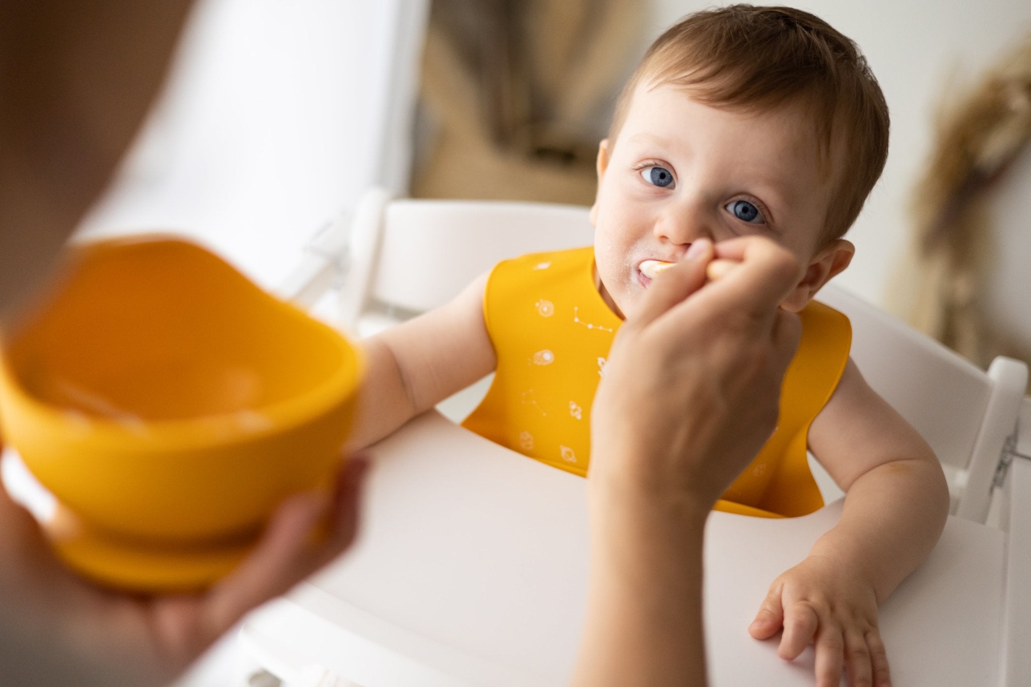 Set pappa per lo svezzamento, progettati per rendere questa esperienza più semplice e piacevole -  Loo.Up 